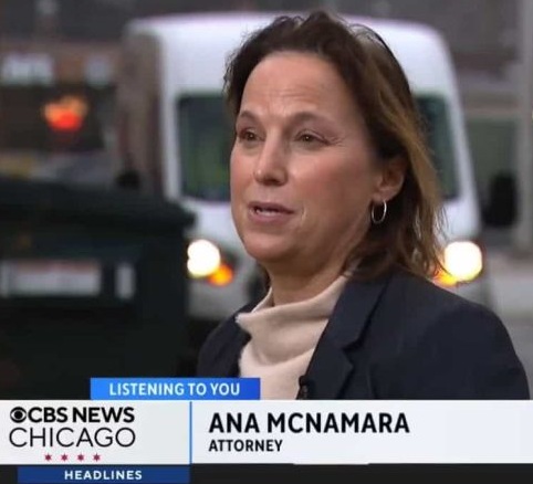 ana mcnamara